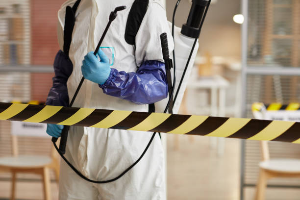 Professional Sewage Cleanup technician working in Wellsville, MO